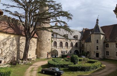 Château à vendre Veauce, Auvergne-Rhône-Alpes:  