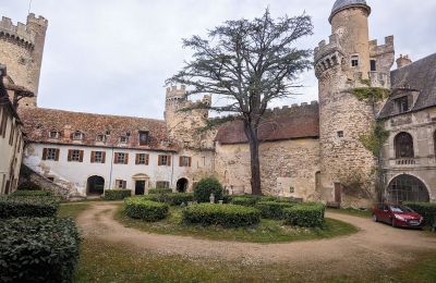 Château à vendre Veauce, Auvergne-Rhône-Alpes, Cour intérieure