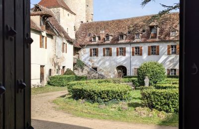 Château à vendre Veauce, Auvergne-Rhône-Alpes, Image 6/10