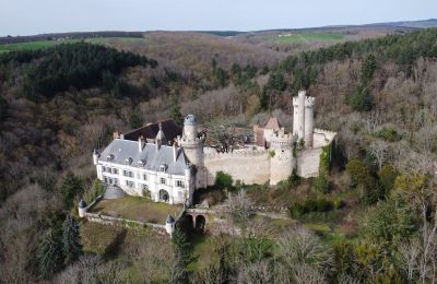 Château à vendre Veauce, Auvergne-Rhône-Alpes, Photo Drone