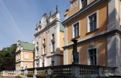 Château à vendre Czempiń, Grande-Pologne:  