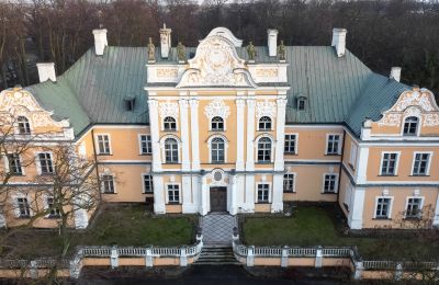 Château à vendre Czempiń, Grande-Pologne:  Drone