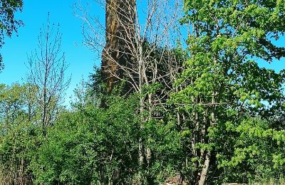 Manoir à vendre Gulbere, Vidzeme, Dépendance