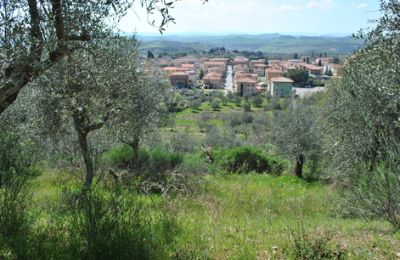 Ferme à vendre Siena, Toscane:  RIF 3071 Ausblick