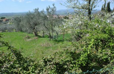 Ferme à vendre Siena, Toscane:  RIF 3071 Garten