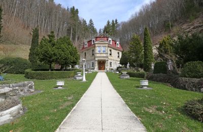 Villa historique à vendre 72574 Bad Urach, Bade-Wurtemberg:  Frontalansicht