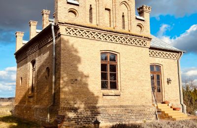 Demeure historique à vendre Chmielniki, Cujavie-Poméranie, widok z tyłu