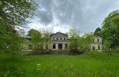 Château à vendre Stradzewo, Pałac w Stradzewie, Poméranie occidentale:  