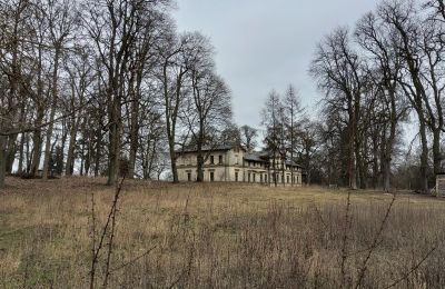 Château à vendre Stradzewo, Pałac w Stradzewie, Poméranie occidentale:  