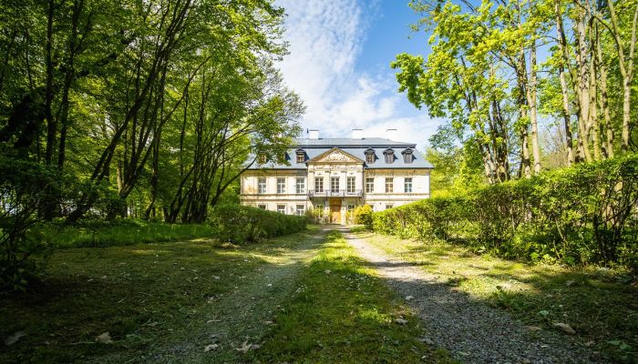 Château à vendre Nakło, Silésie,  Pologne