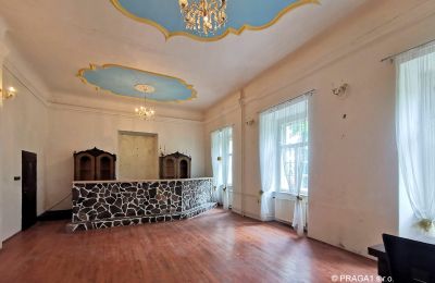 Château à vendre Opava, Moravskoslezský kraj, Salle de bal