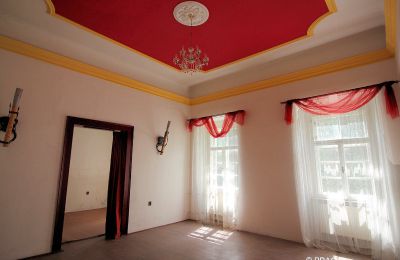 Château à vendre Opava, Moravskoslezský kraj, Image 7/15