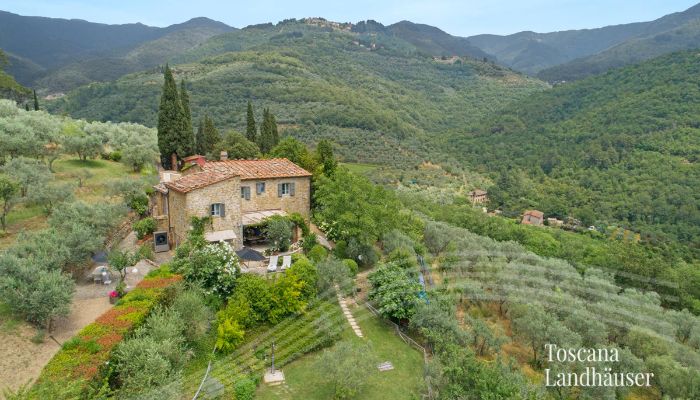 Belles maisons et demeures à vendre Toscane, Maison de campagne 2024