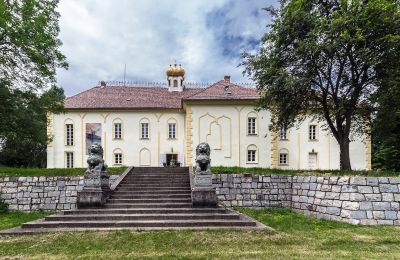 Château à vendre Szombathely, Comitat de Vas:  Vue arrière