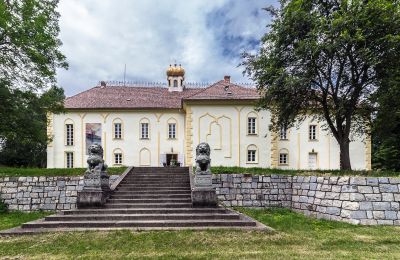 Château à vendre Szombathely, Comitat de Vas, Vue de l'arrière