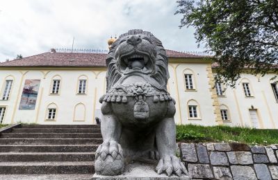 Château à vendre Szombathely, Comitat de Vas, Image 3/21