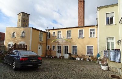 Immobilier historique louer  Grimma:  