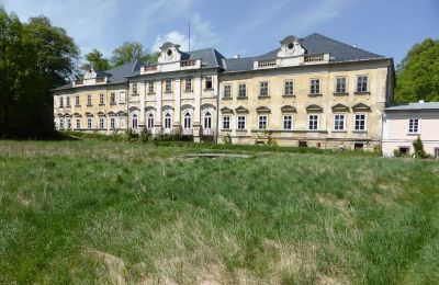Château à vendre Dobříš, Středočeský kraj:  Vue arrière
