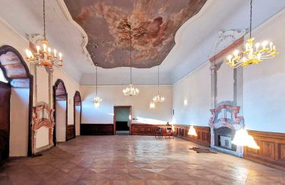 Château à vendre Dobříš, Středočeský kraj:  Salle de bal