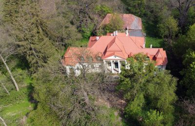 Château à vendre Skoraszewice, Skoraszewice  16, Grande-Pologne, Photo Drone