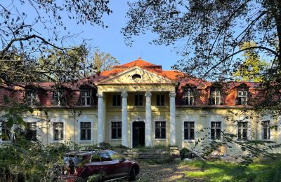 Château à vendre Skoraszewice, Skoraszewice  16, Grande-Pologne, Vue frontale