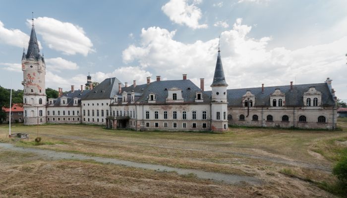 Château Bożków 1
