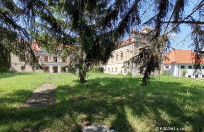 Château à vendre Karlovarský kraj:  Park