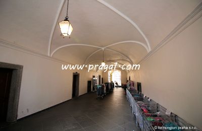 Immobilier historique à vendre East of Czechia:  