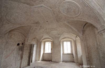 Château à vendre Karlovarský kraj, Image 5/16