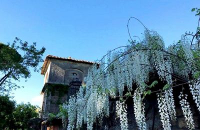 Villa historique à vendre Latium:  Tour