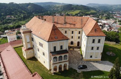 Château à vendre Olomoucký kraj:  Vue extérieure