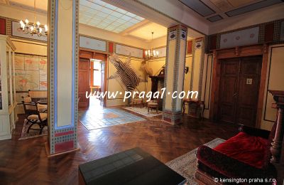 Immobilier historique a vendre  South Czechia:  