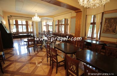 Immobilier historique a vendre  South Czechia:  