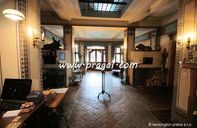 Immobilier historique a vendre  South Czechia:  