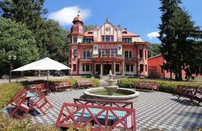 Immobilier historique a vendre  South Czechia:  