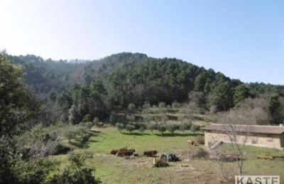 Maison de campagne à vendre Rivalto, Toscane:  