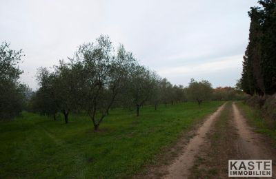 Monastère à vendre Peccioli, Toscane:  