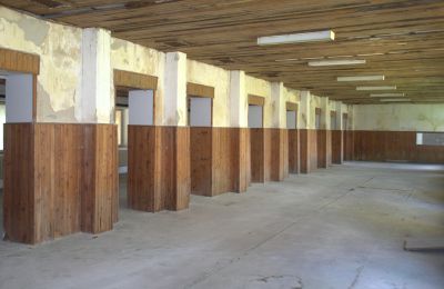 Manoir à vendre Région de Nitra, Image 7/19