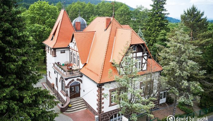 Villa historique Świeradów-Zdrój 1