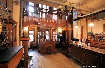 Château à vendre Jihočeský kraj, Image 7/21