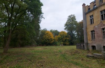 Château à vendre Dobrowo, Poméranie occidentale, Parc