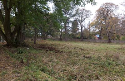 Château à vendre Dobrowo, Poméranie occidentale, Terrain