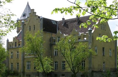 Château à vendre Dobrowo, Poméranie occidentale:  Vue arrière