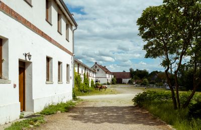 Château à vendre Samotwór, Basse-Silésie:  