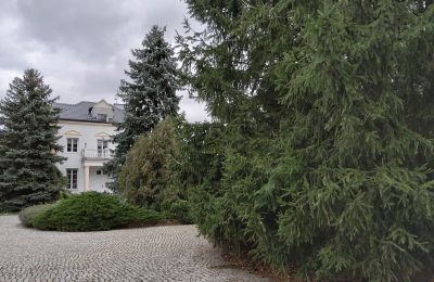 Manoir à vendre Zarębów, Dwór w Zarębowie, Łódź:  