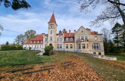 Château à vendre Grabiszyce Średnie, ul. Baworowo 14, Basse-Silésie:  Vue extérieure