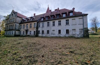 Château à vendre Grabiszyce Średnie, ul. Baworowo 14, Basse-Silésie:  Vue arrière