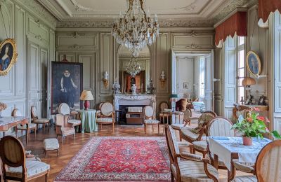 Château à vendre Redon, Bretagne, Salon