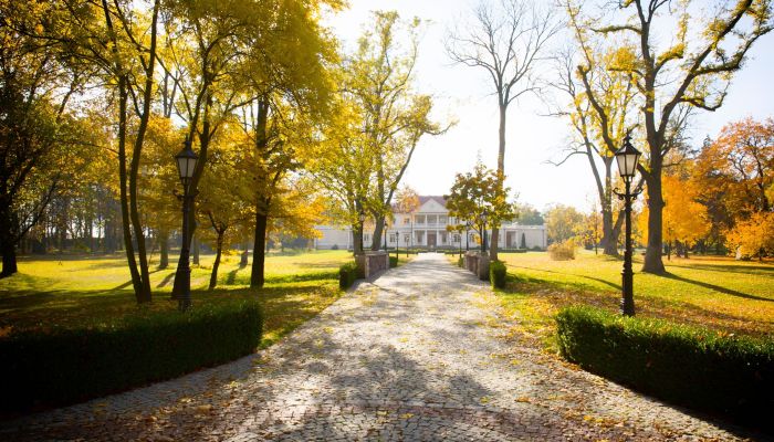 Manoir à vendre Zborów, Grande-Pologne,  Pologne