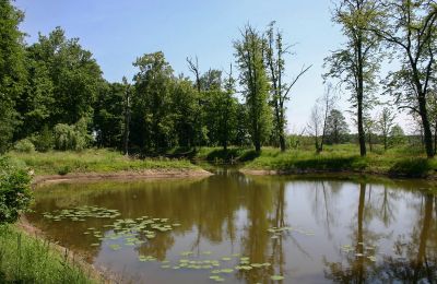 Château à vendre Radoszewnica, Silésie, Lac/étang